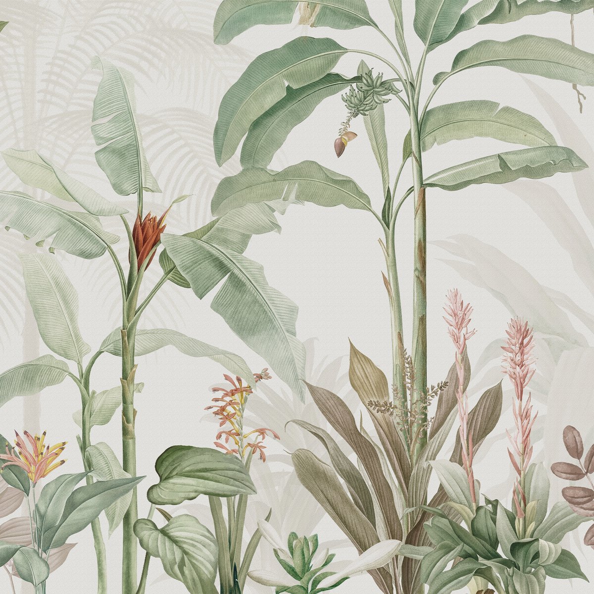 Honpo | Tropical Garden Honpo | Tropical Garden