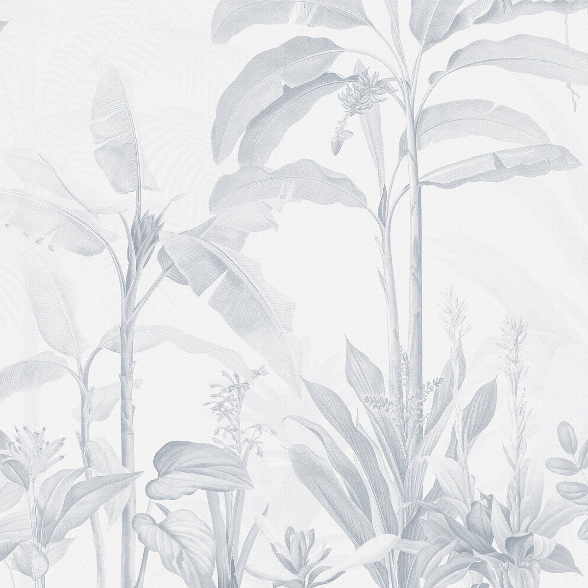 Honpo | Tropical Garden Honpo | Tropical Garden