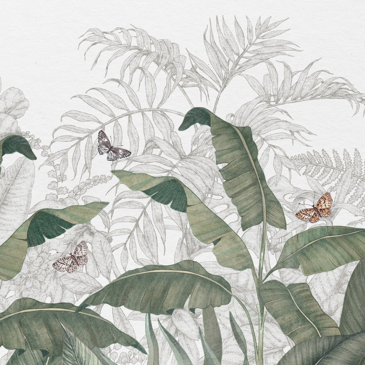 Honpo | Wild Floresta | HO-0088 Honpo | Wild Floresta | HO-0088