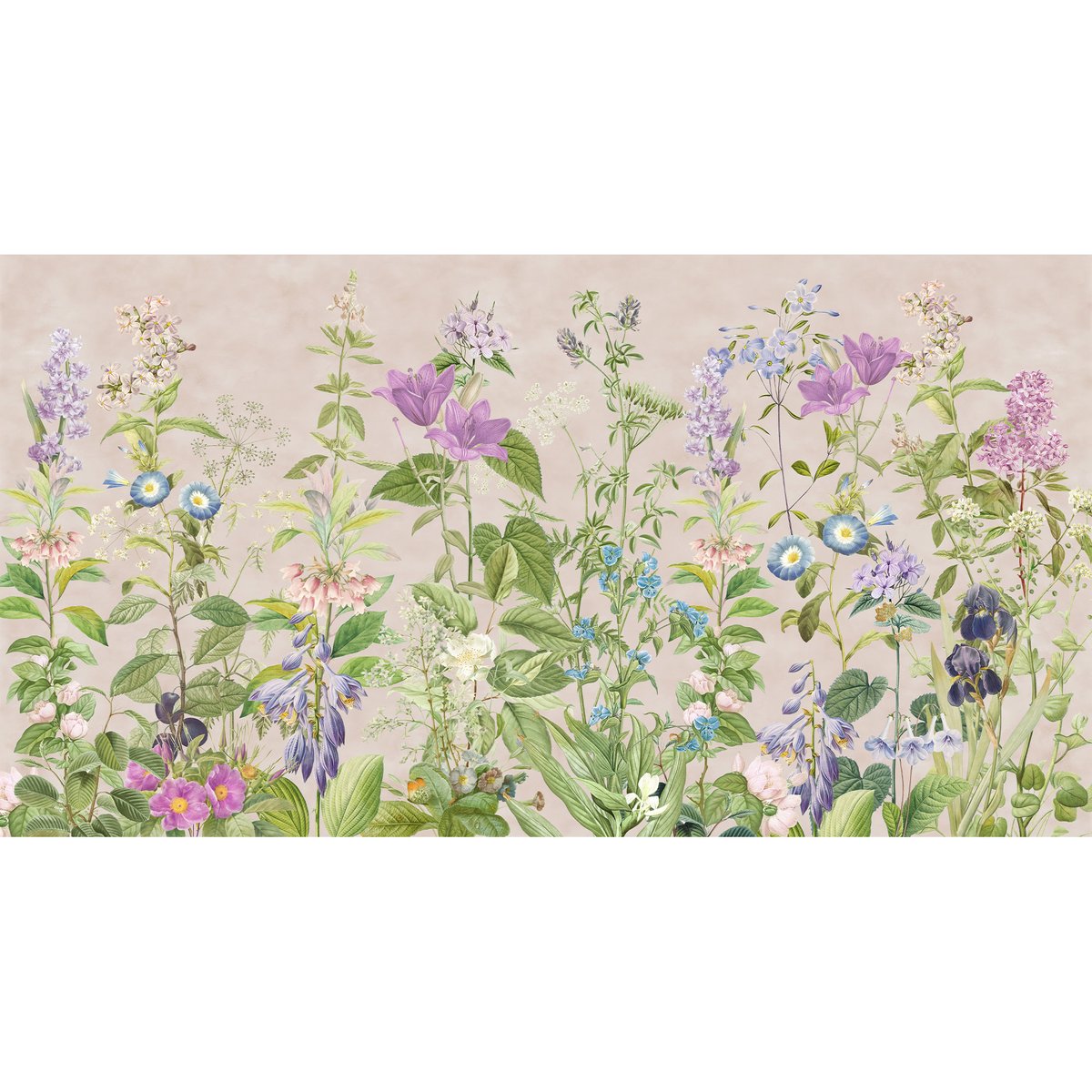 Honpo | The Wildflower Waltz Honpo | The Wildflower Waltz