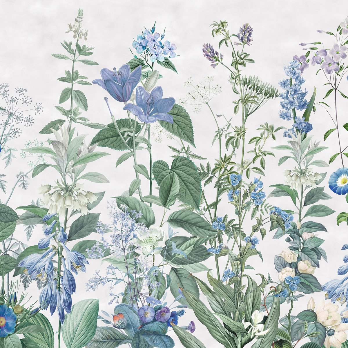 Honpo | The Wildflower Waltz Honpo | The Wildflower Waltz