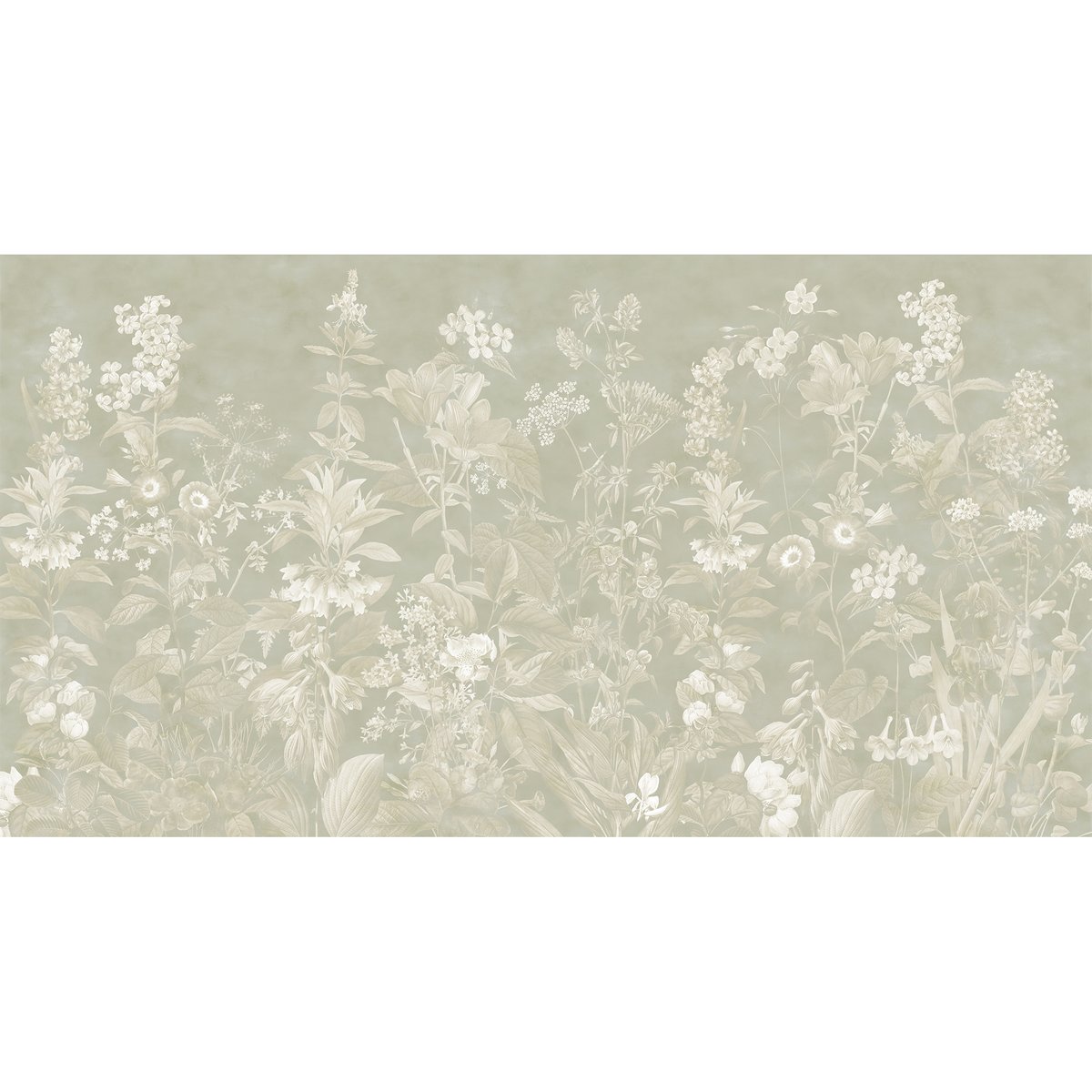 Honpo | The Wildflower Waltz Honpo | The Wildflower Waltz