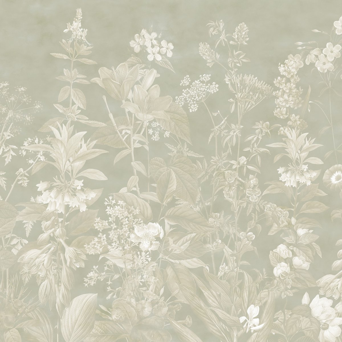 Honpo | The Wildflower Waltz Honpo | The Wildflower Waltz