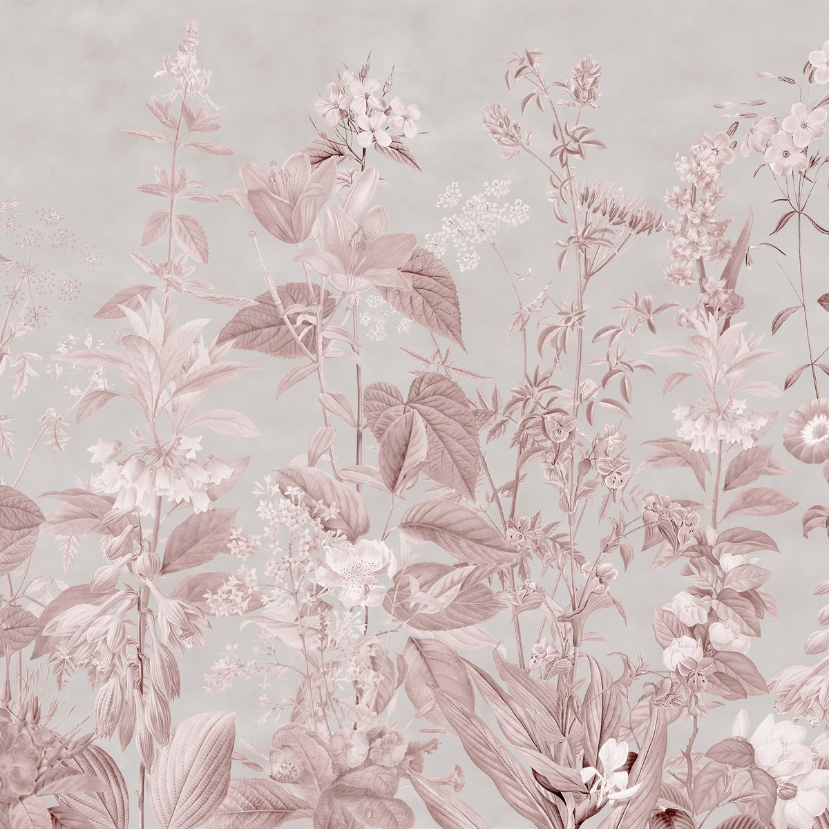 Honpo | The Wildflower Waltz Honpo | The Wildflower Waltz