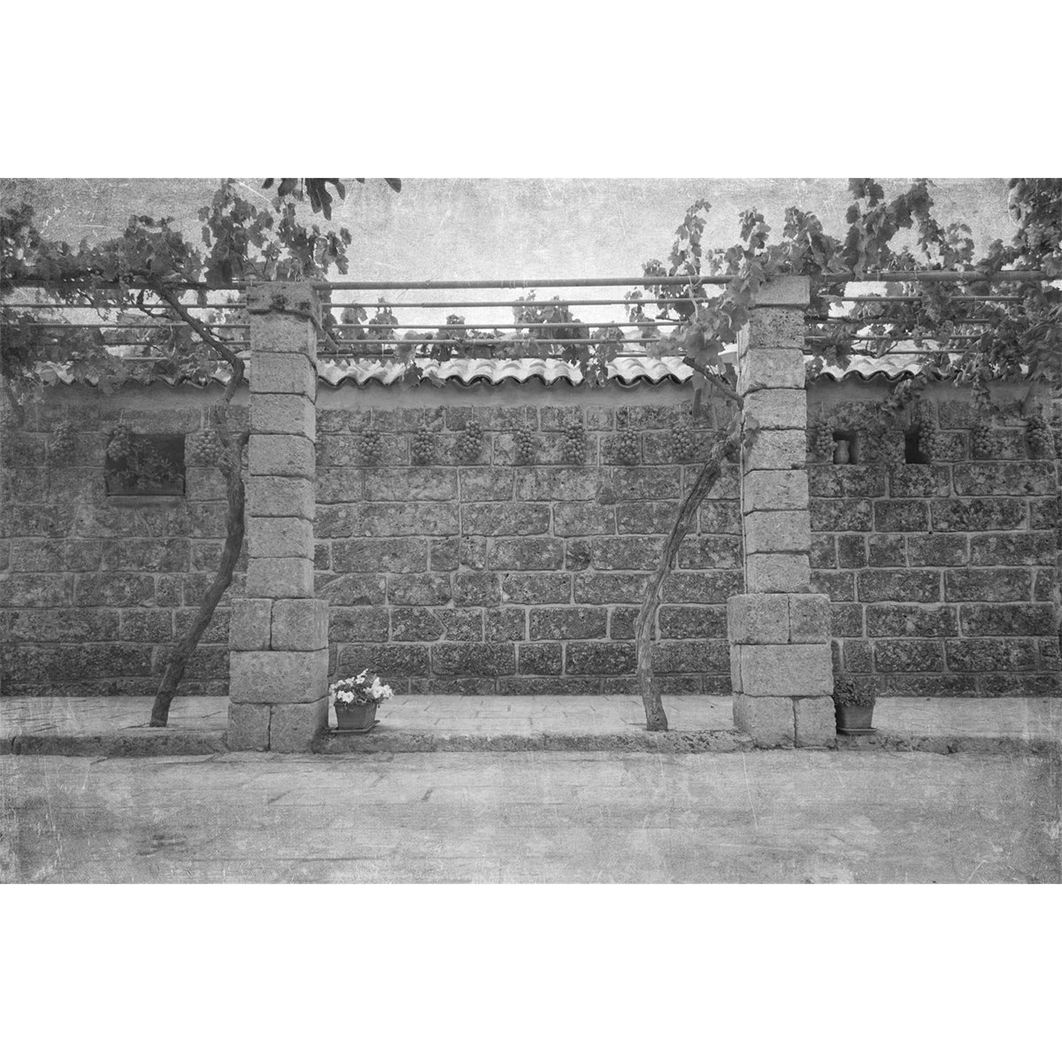 Affreschi & Affreschi | Carpe Diem | CD041 Affreschi & Affreschi | Carpe Diem | CD041