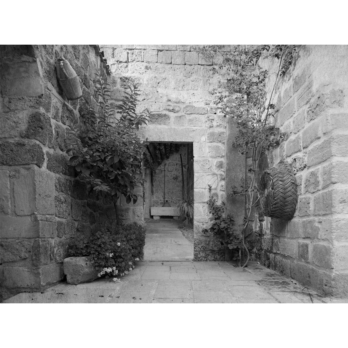 Affreschi & Affreschi | Carpe Diem | CD083 Affreschi & Affreschi | Carpe Diem | CD083