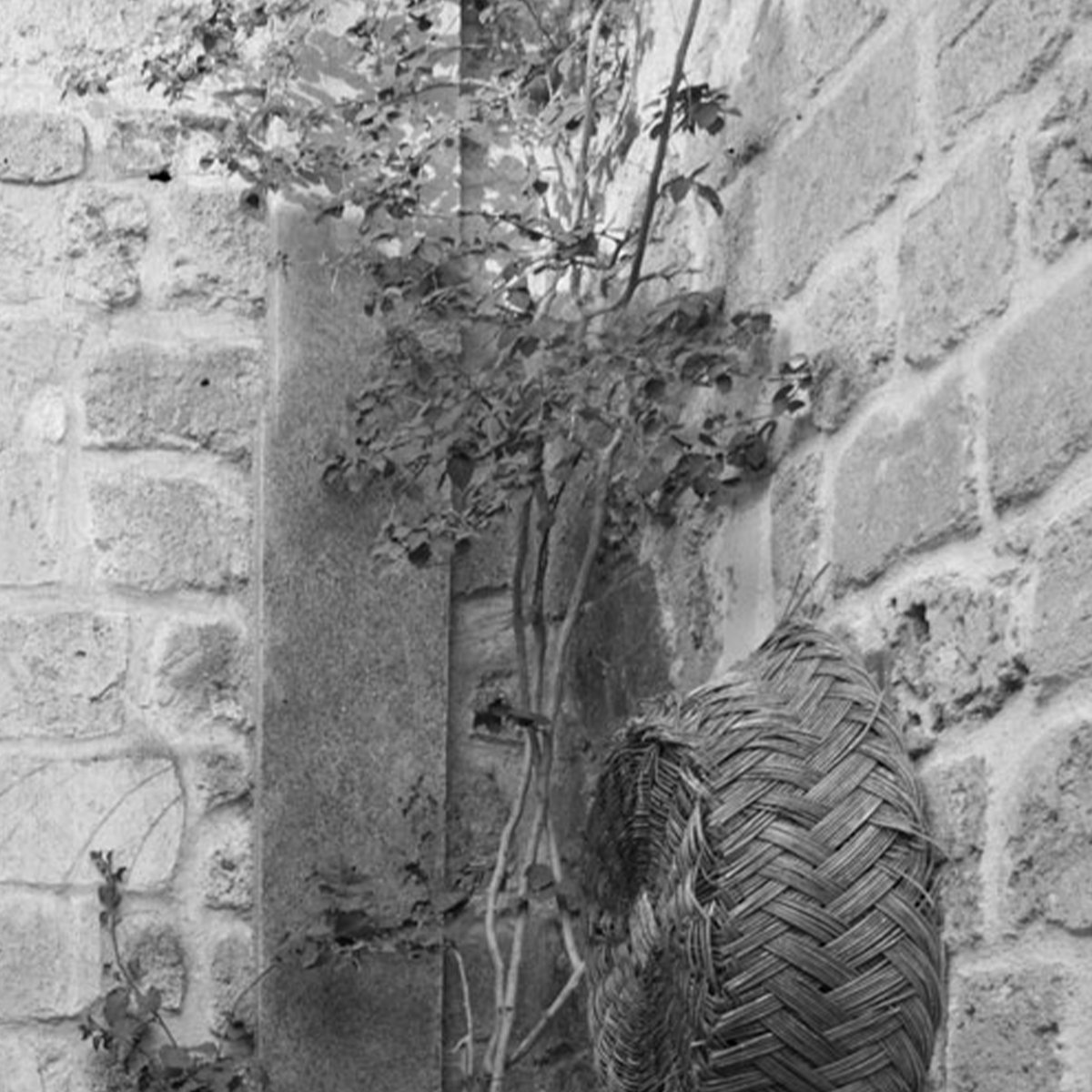 Affreschi & Affreschi | Carpe Diem | CD083 Affreschi & Affreschi | Carpe Diem | CD083