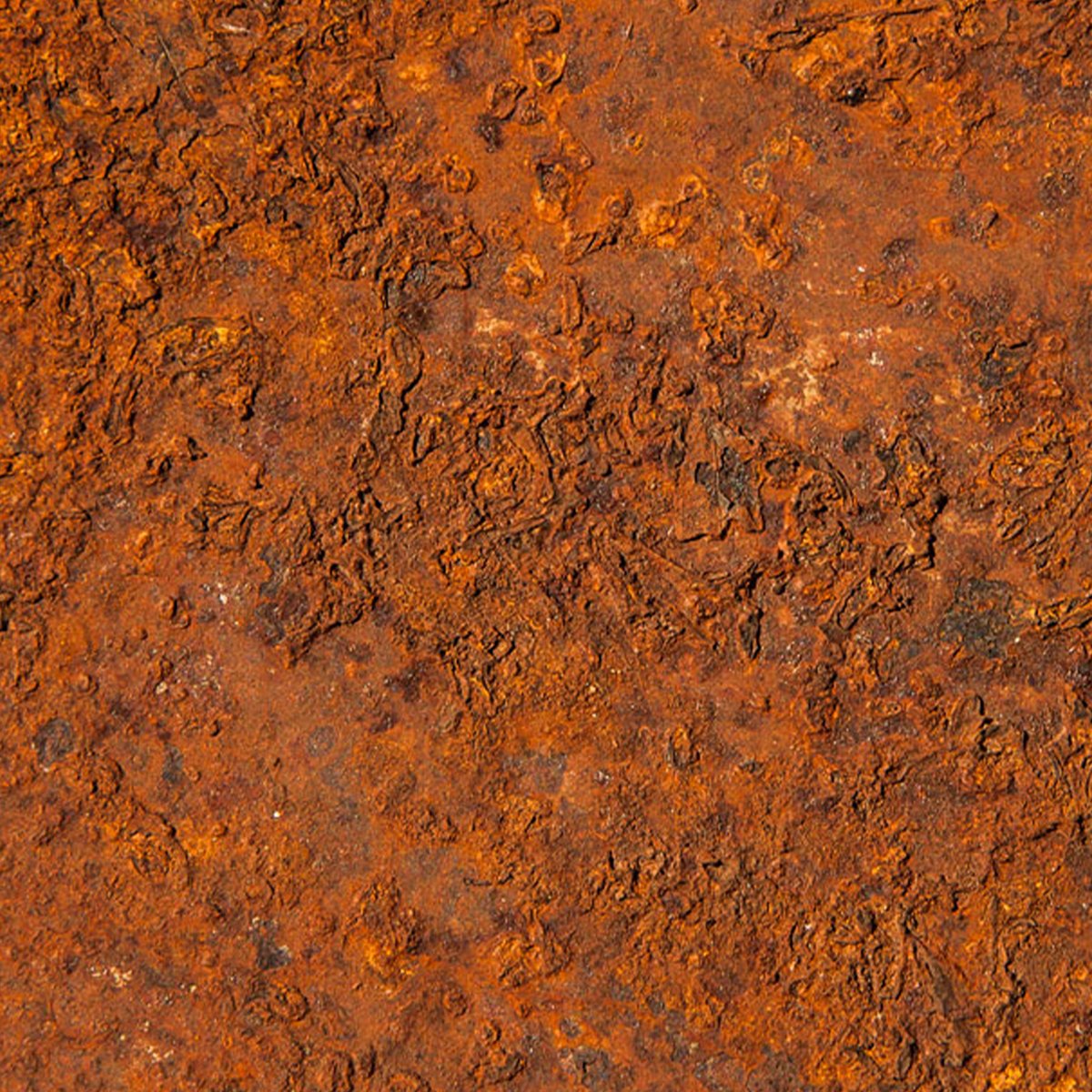 Affreschi & Affreschi | Remember When | RW01 Affreschi & Affreschi | Remember When | RW01