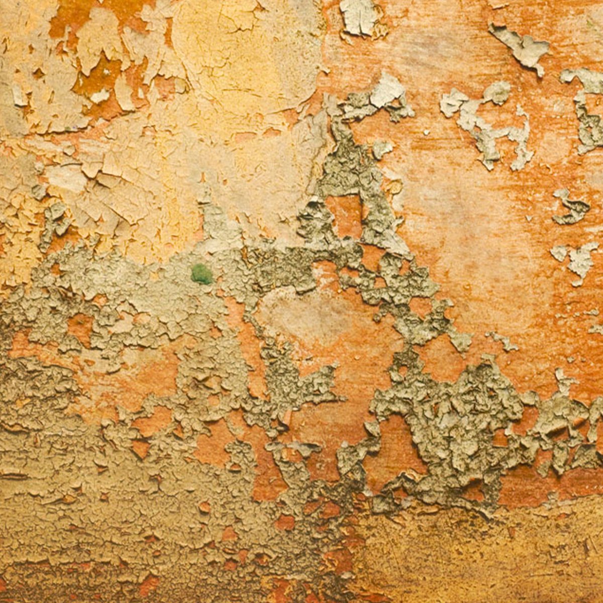 Affreschi & Affreschi | Remember When | RW02 Affreschi & Affreschi | Remember When | RW02