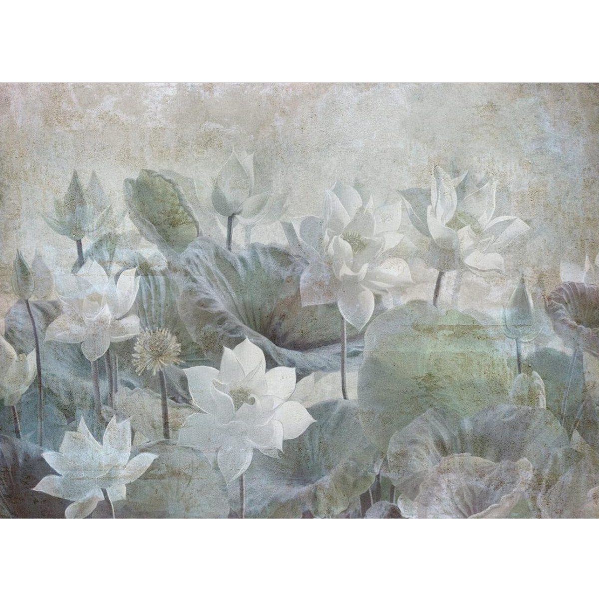 Affreschi & Affreschi | Shadows | SH09 Affreschi & Affreschi | Shadows | SH09