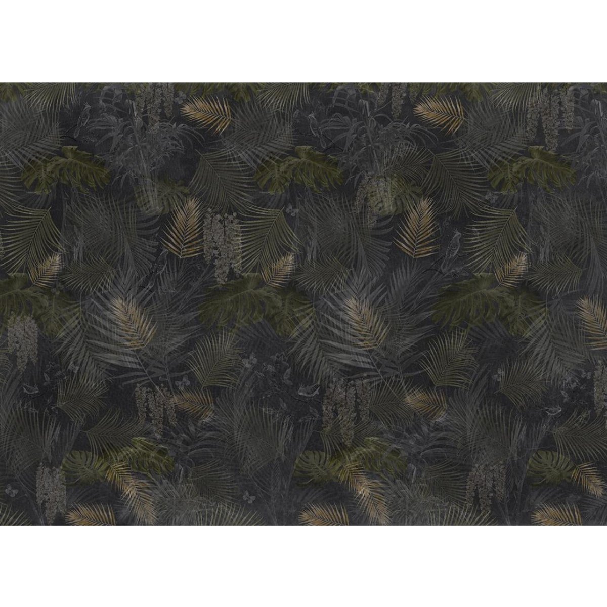 Affreschi & Affreschi | Shadows | SH12 Affreschi & Affreschi | Shadows | SH12