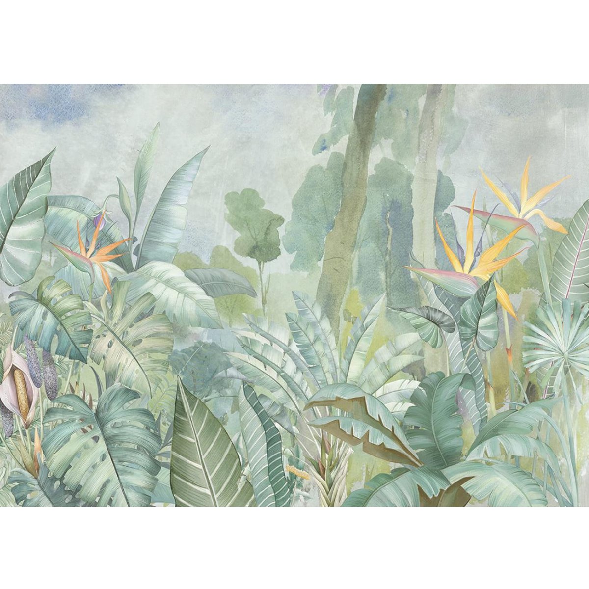 Affreschi & Affreschi | Shadows | SH20 Affreschi & Affreschi | Shadows | SH20