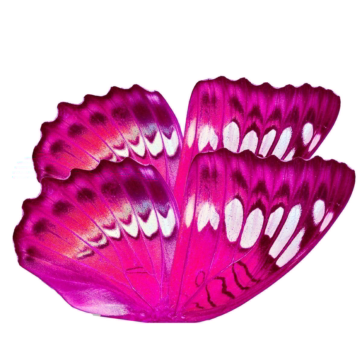 Affreschi & Affreschi | Still Love | SL63 Affreschi & Affreschi | Still Love | SL63