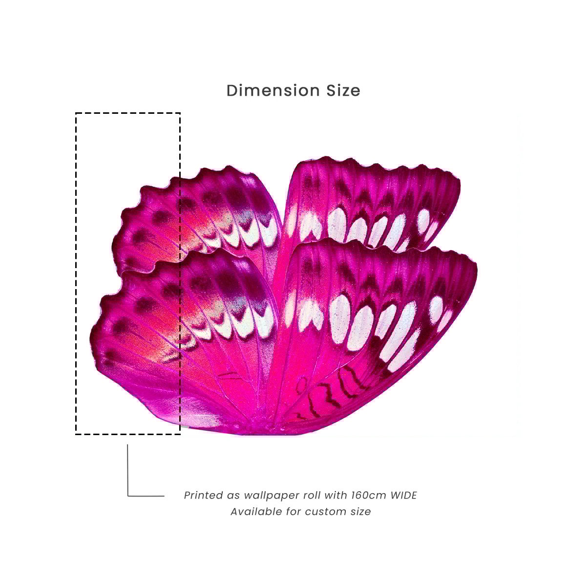Affreschi & Affreschi | Still Love | SL63 Affreschi & Affreschi | Still Love | SL63
