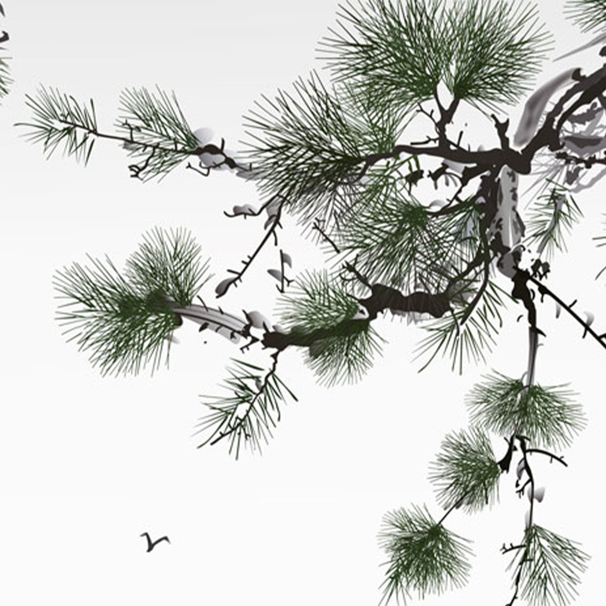 Affreschi & Affreschi | Still Love | SL82 Affreschi & Affreschi | Still Love | SL82