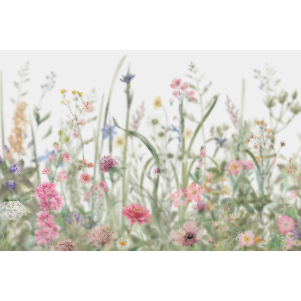 Honpo | Blossom of Spring Honpo | Blossom of Spring