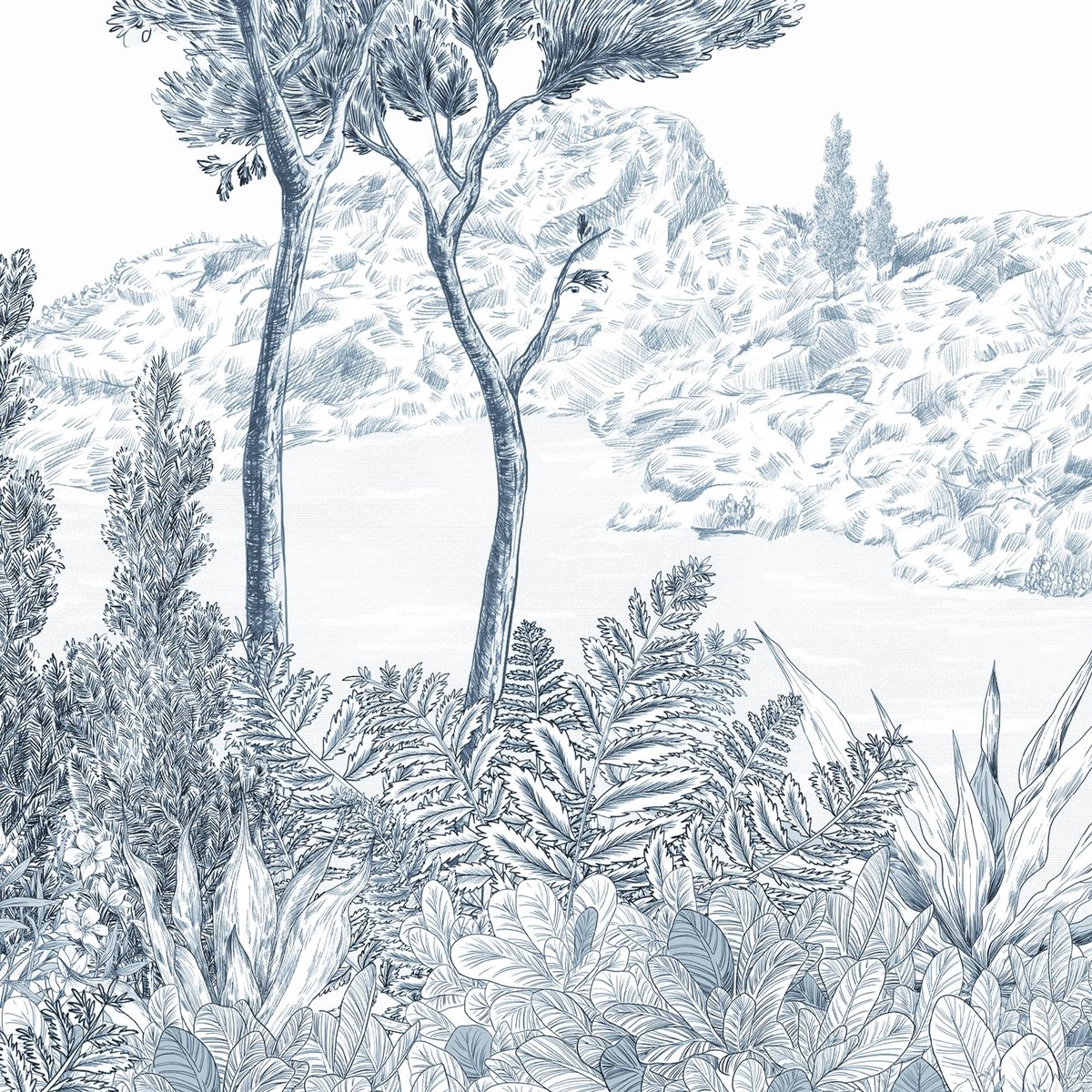 Honpo | Bosque Costero | HO-007 Honpo | Bosque Costero | HO-007