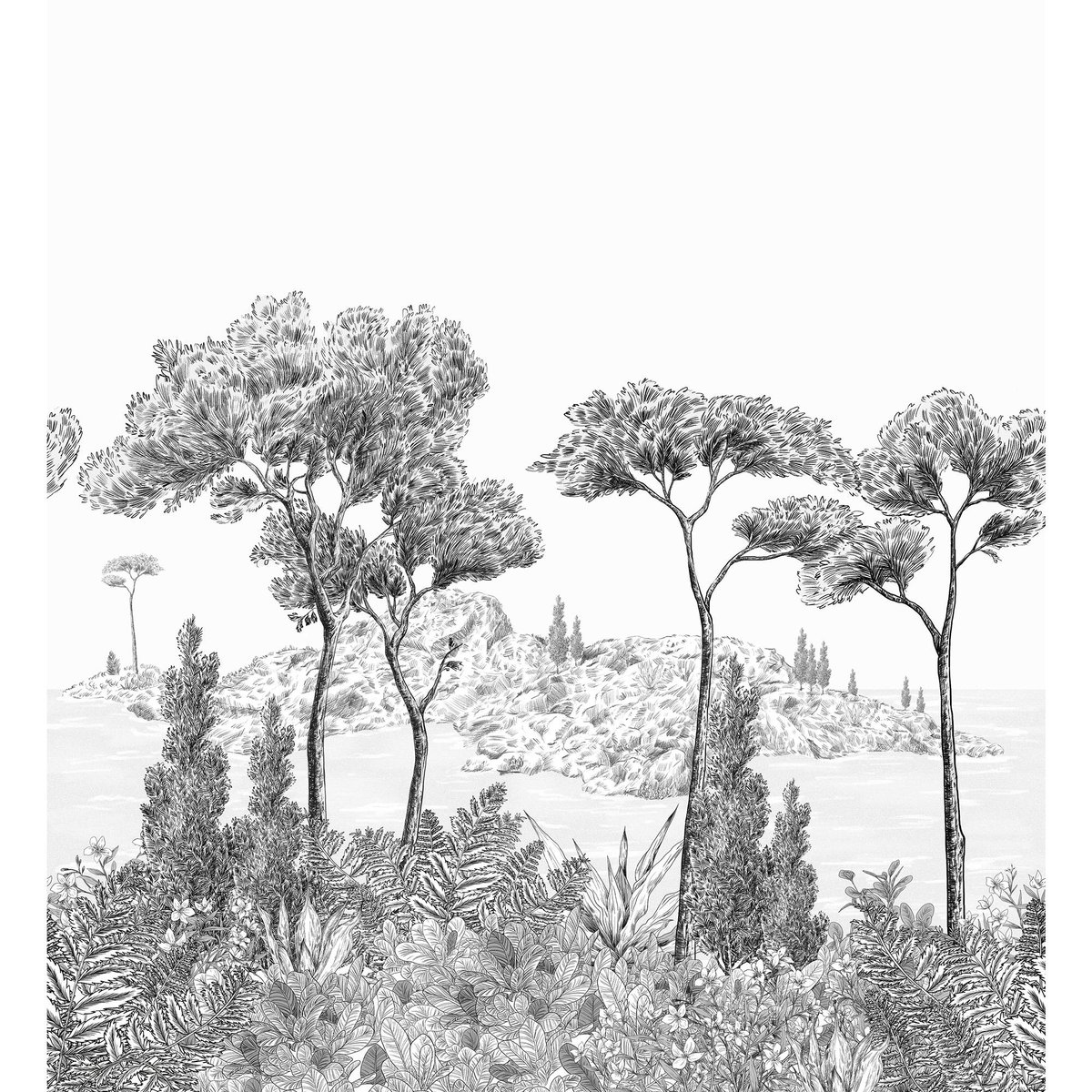 Honpo | Bosque Costero | HO-007 Honpo | Bosque Costero | HO-007