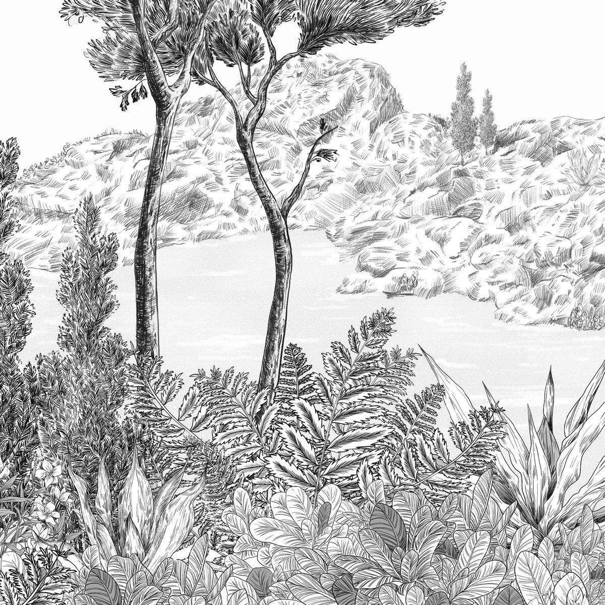 Honpo | Bosque Costero | HO-007 Honpo | Bosque Costero | HO-007