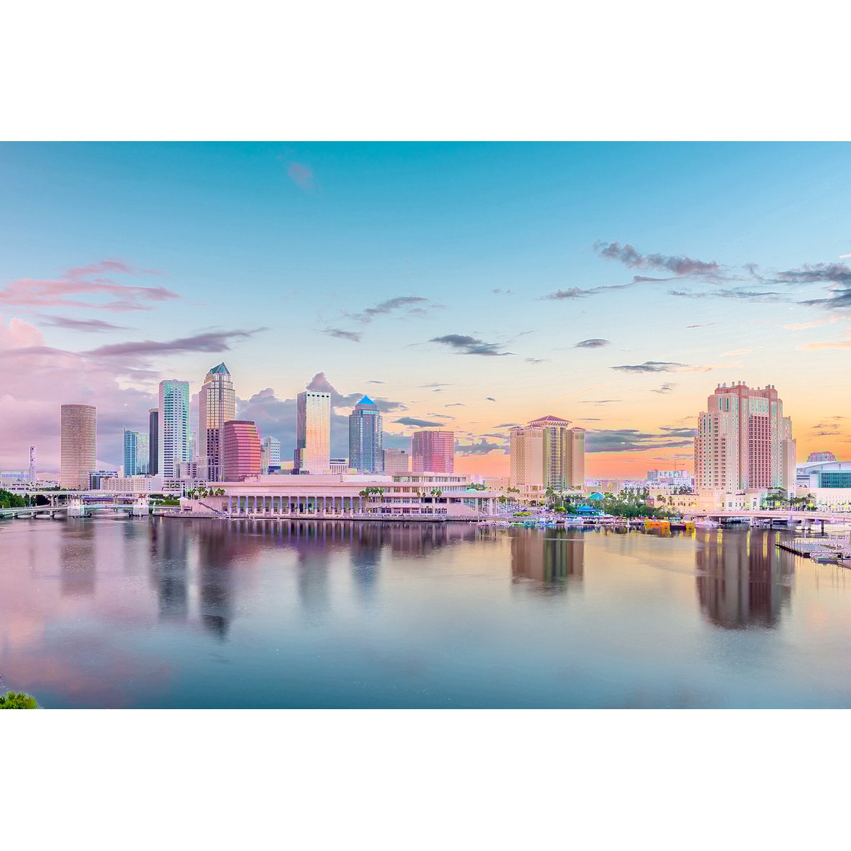 Honpo | Tampa Twilight Honpo | Tampa Twilight