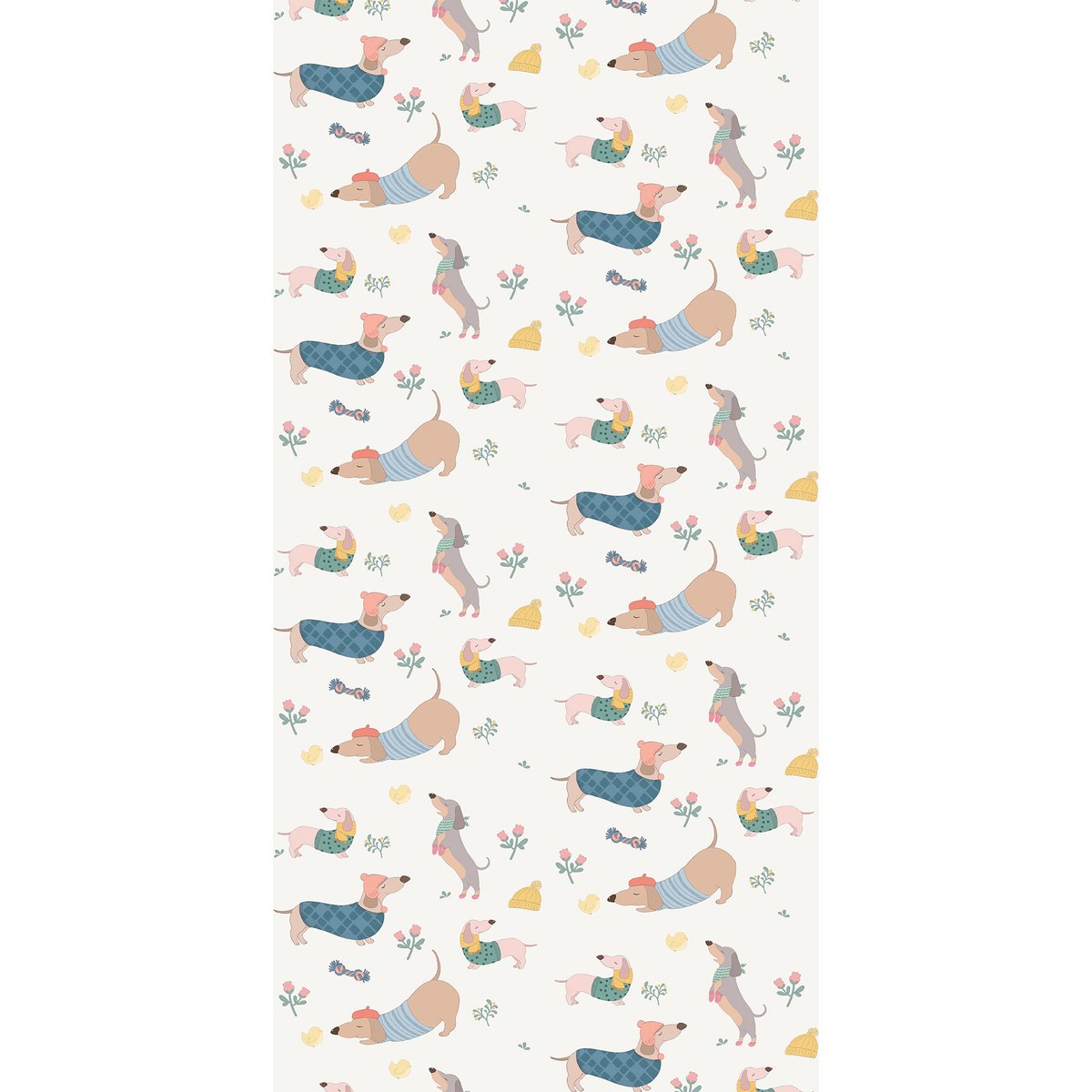 Honpo | Dachshund Club | HO-0042 Honpo | Dachshund Club | HO-0042