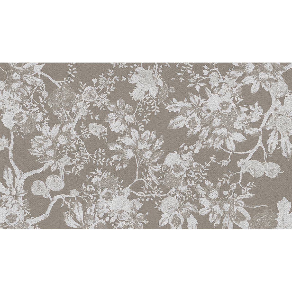 Honpo | Fig Honpo | Fig