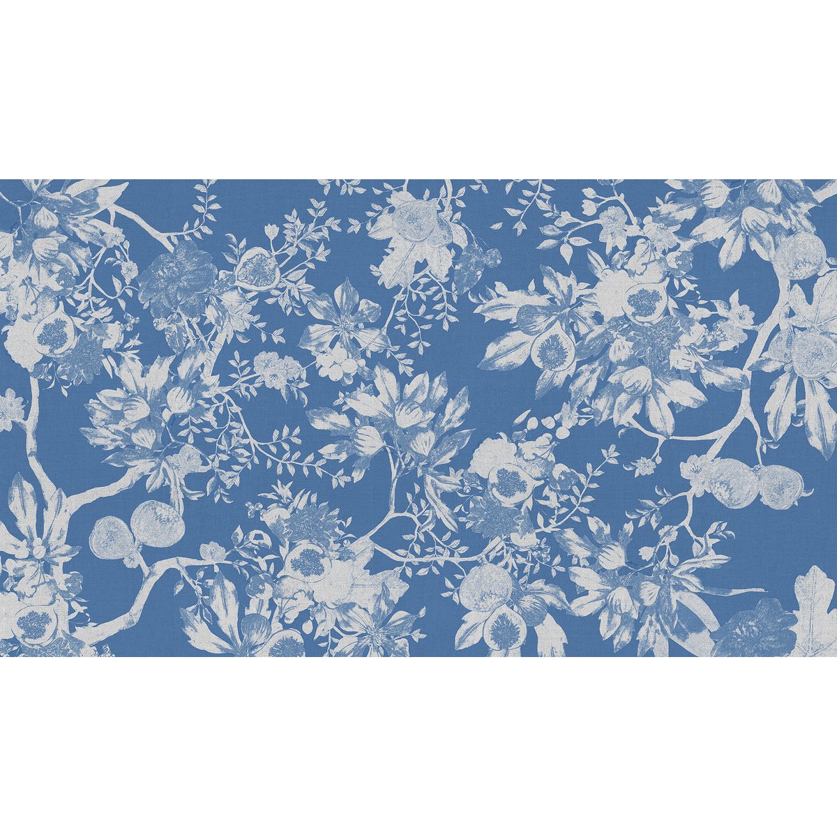 Honpo | Fig Honpo | Fig