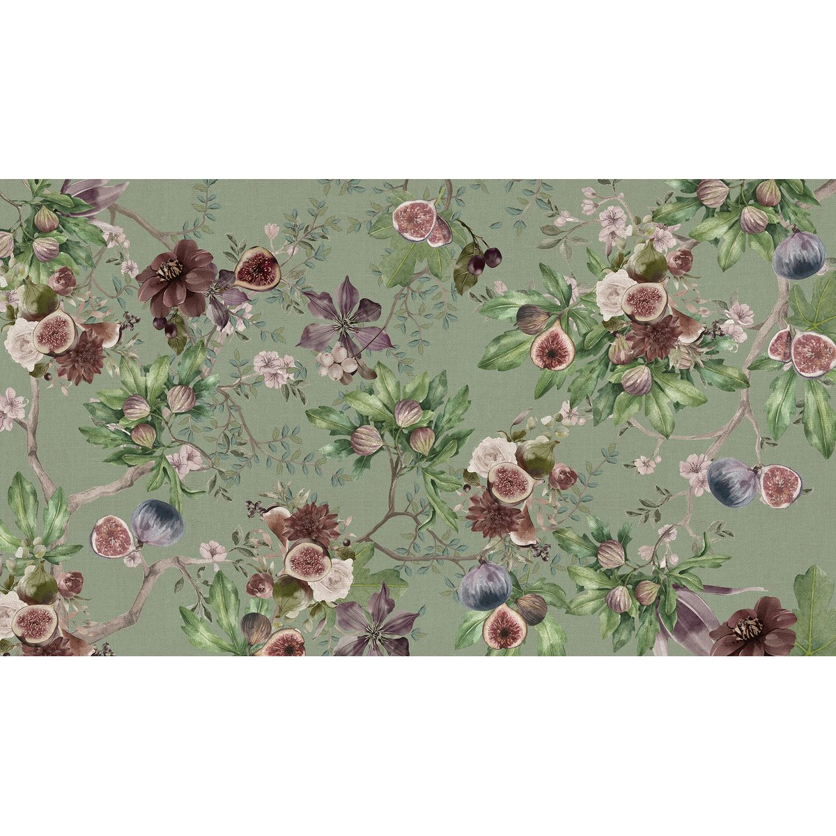 Honpo | Fig Honpo | Fig