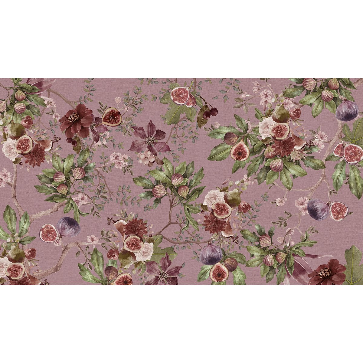 Honpo | Fig Honpo | Fig