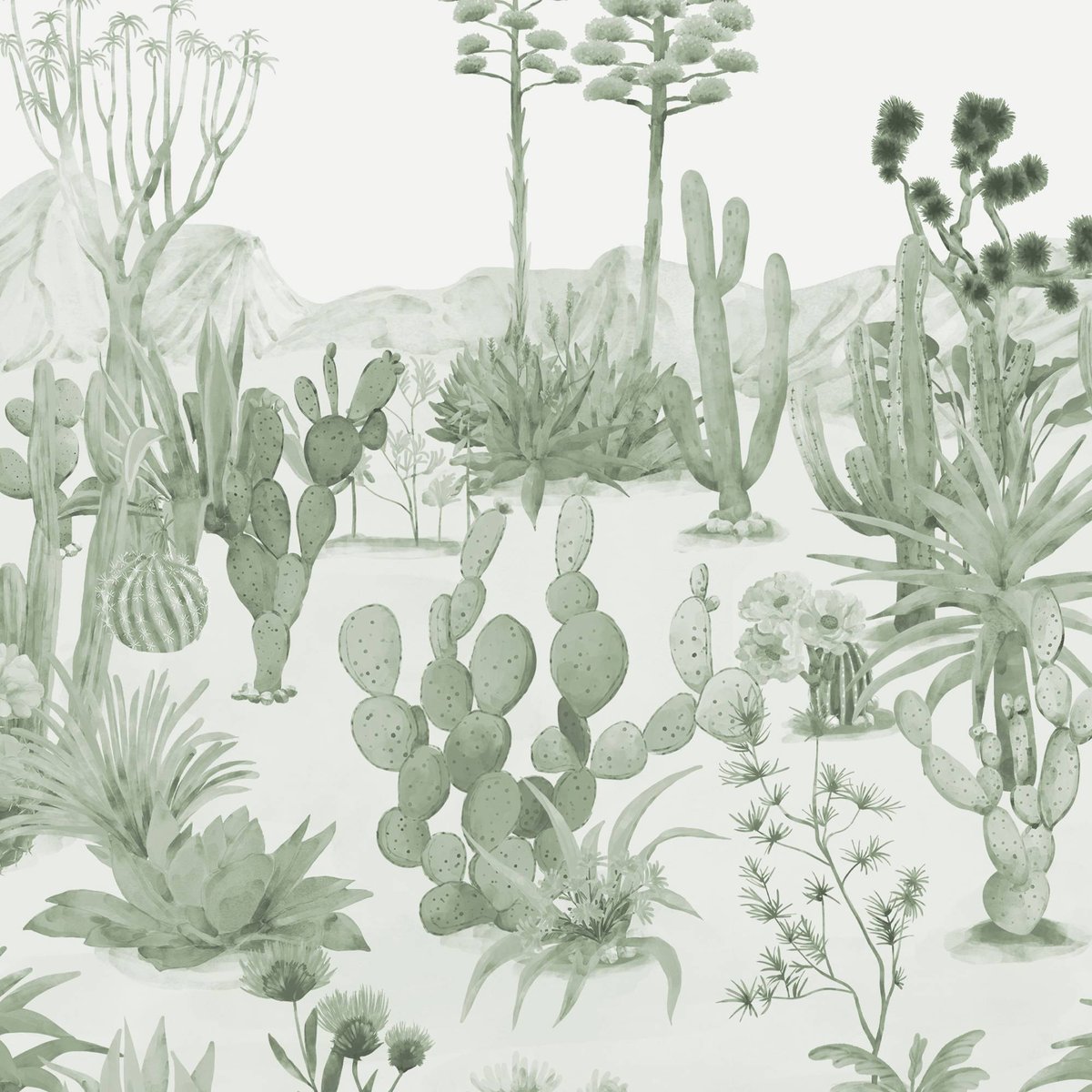 Honpo | Jardin du Désert | HO-0060 Honpo | Jardin du Désert | HO-0060