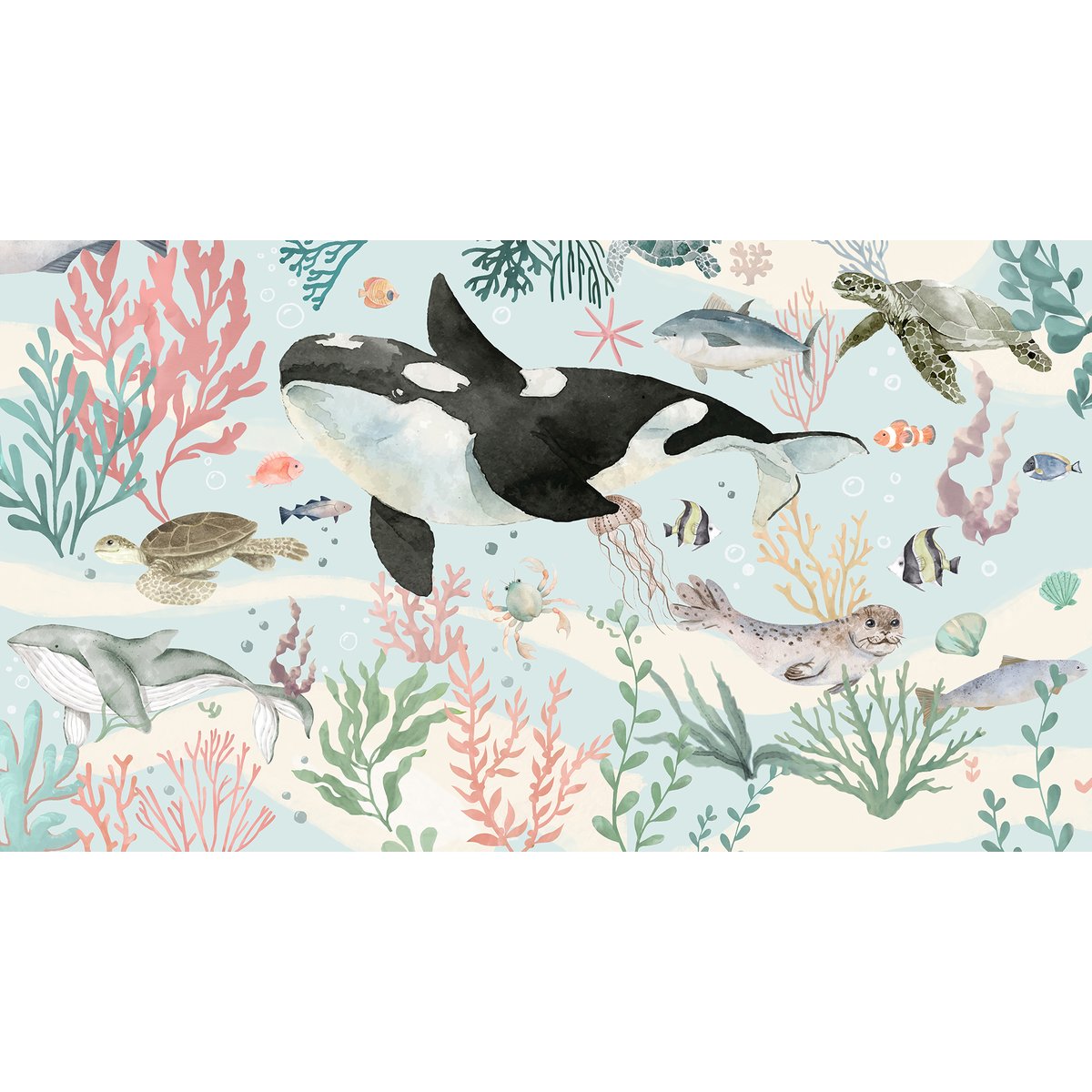 Honpo | My First Aquarium Honpo | My First Aquarium