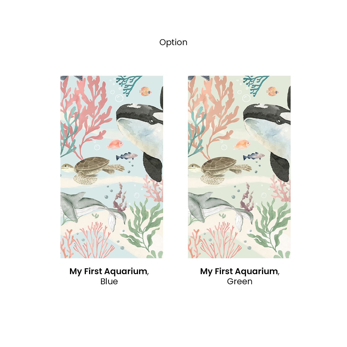 Honpo | My First Aquarium Honpo | My First Aquarium