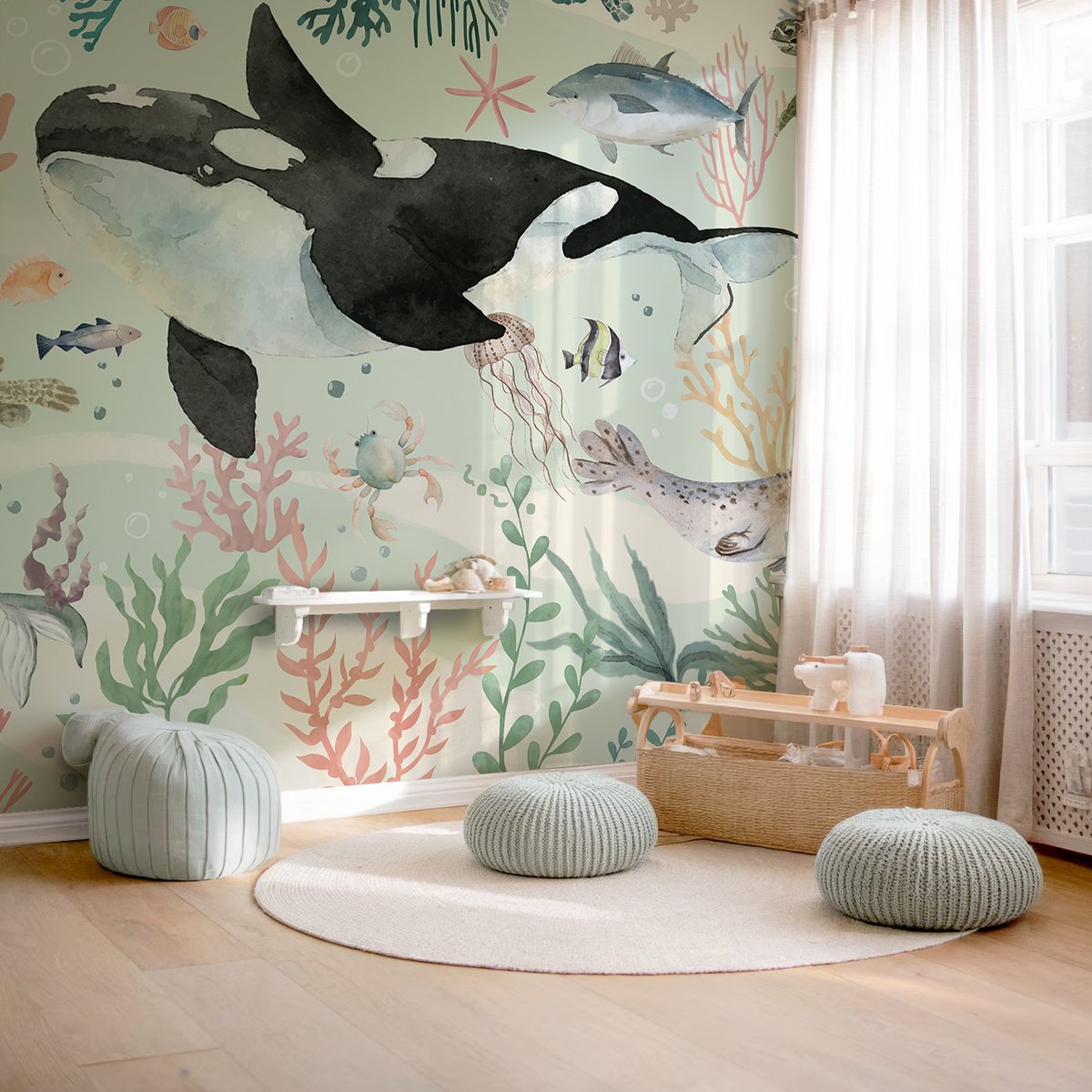 Honpo | My First Aquarium Honpo | My First Aquarium