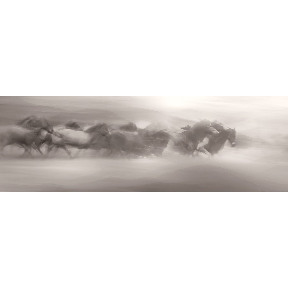 Honpo | Storm Chaser Honpo | Storm Chaser