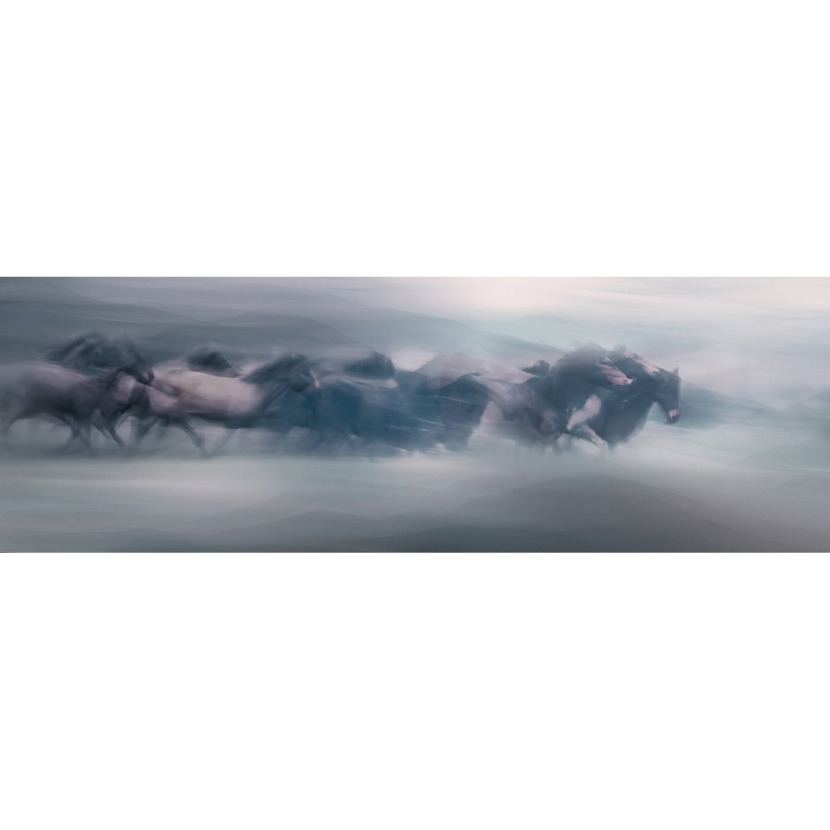 Honpo | Storm Chaser Honpo | Storm Chaser