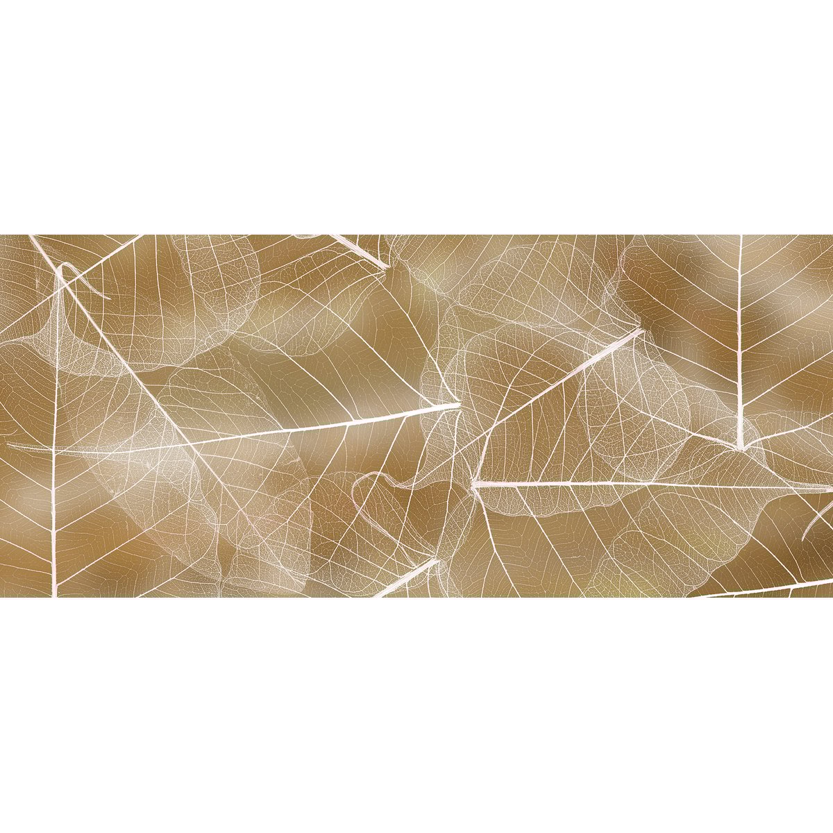 Honpo | Vellum Honpo | Vellum