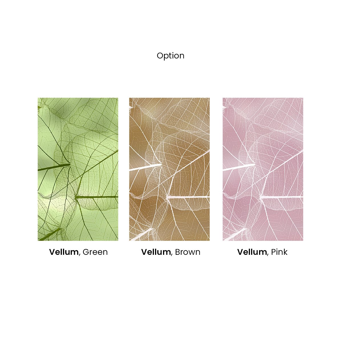 Honpo | Vellum Honpo | Vellum