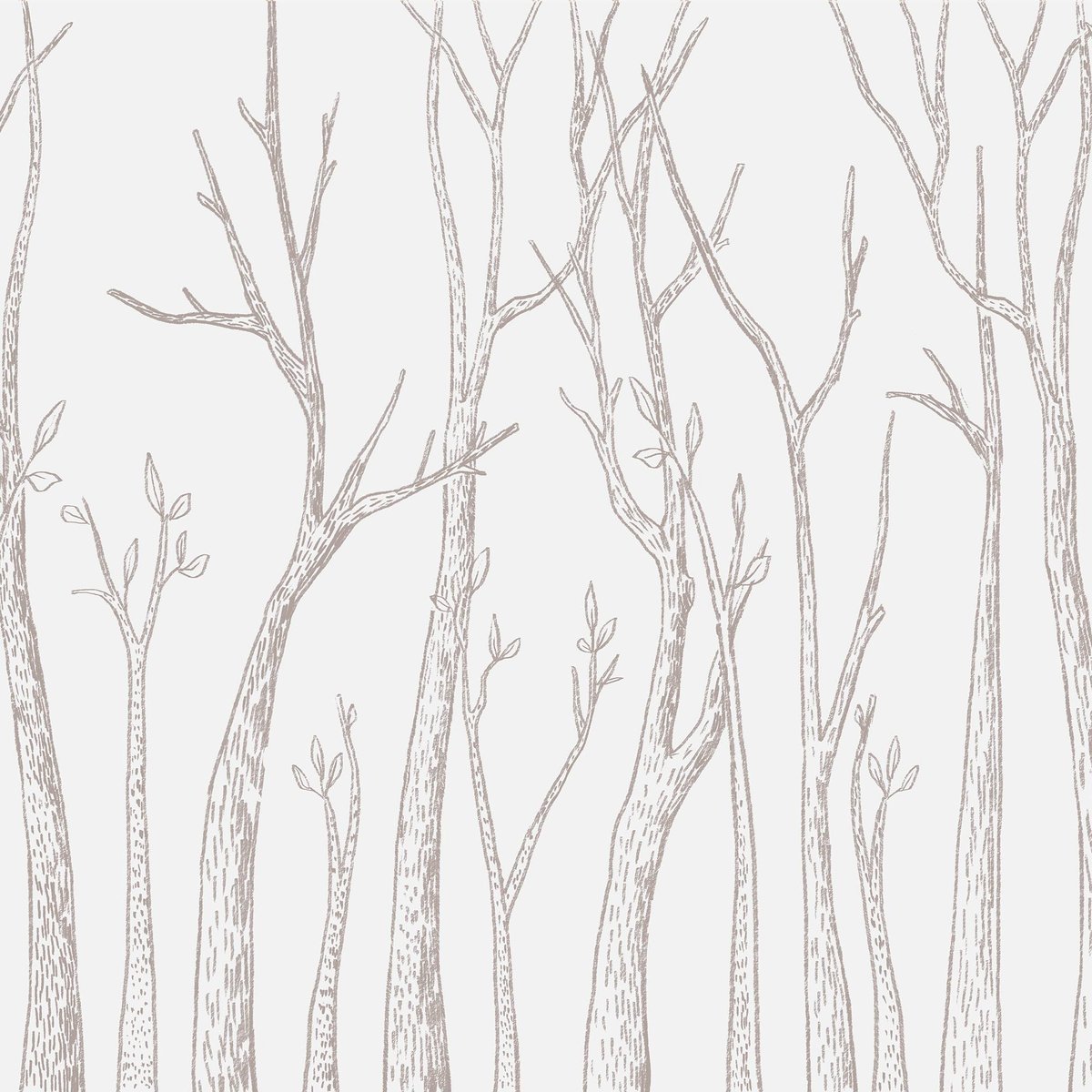 Honpo | River Birch Trees | HO-0079 Honpo | River Birch Trees | HO-0079
