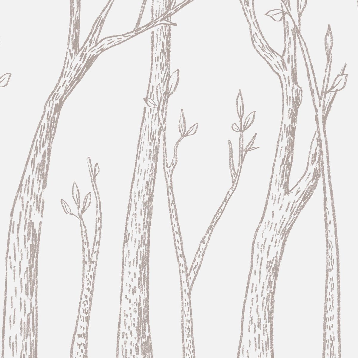 Honpo | River Birch Trees | HO-0079 Honpo | River Birch Trees | HO-0079