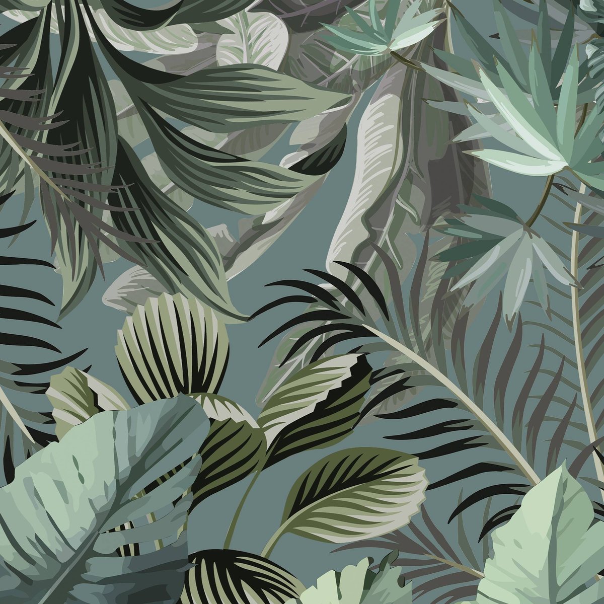 Honpo | Tropical Fusion Honpo | Tropical Fusion