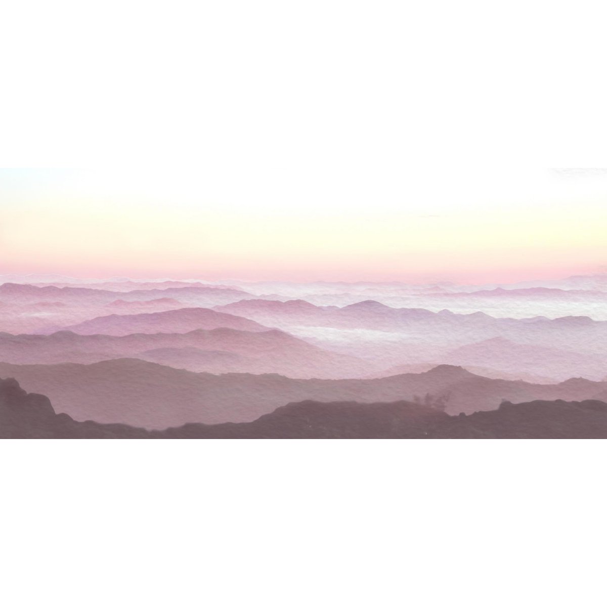 Honpo YL | Silent Horizon Honpo YL | Silent Horizon