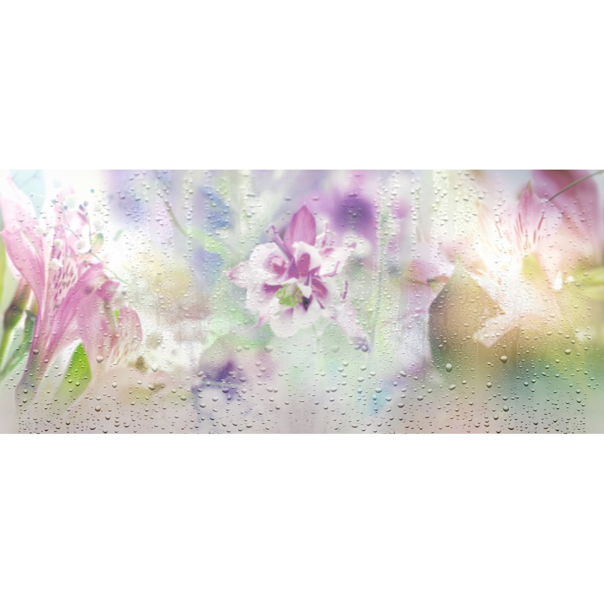 Honpo YL | Through The Rain Honpo YL | Through The Rain