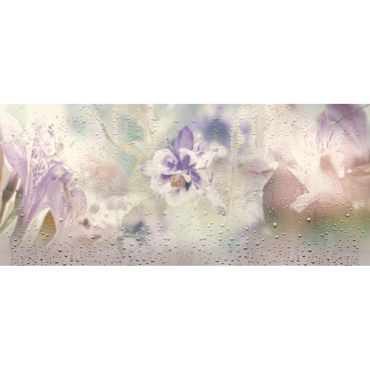 Honpo YL | Through The Rain Honpo YL | Through The Rain