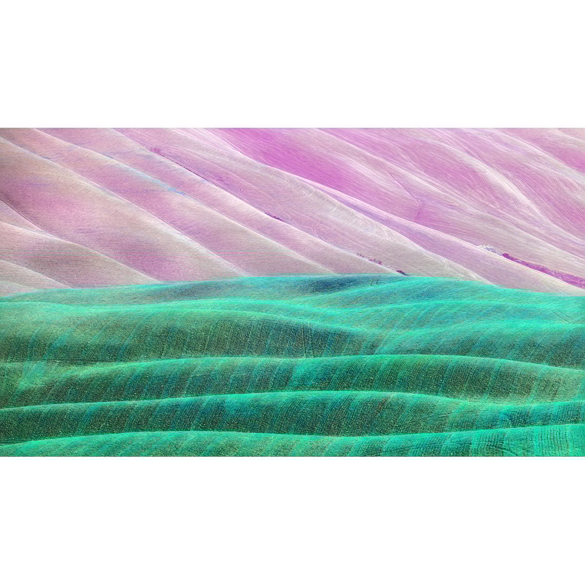 Honpo | Chromascape Honpo | Chromascape