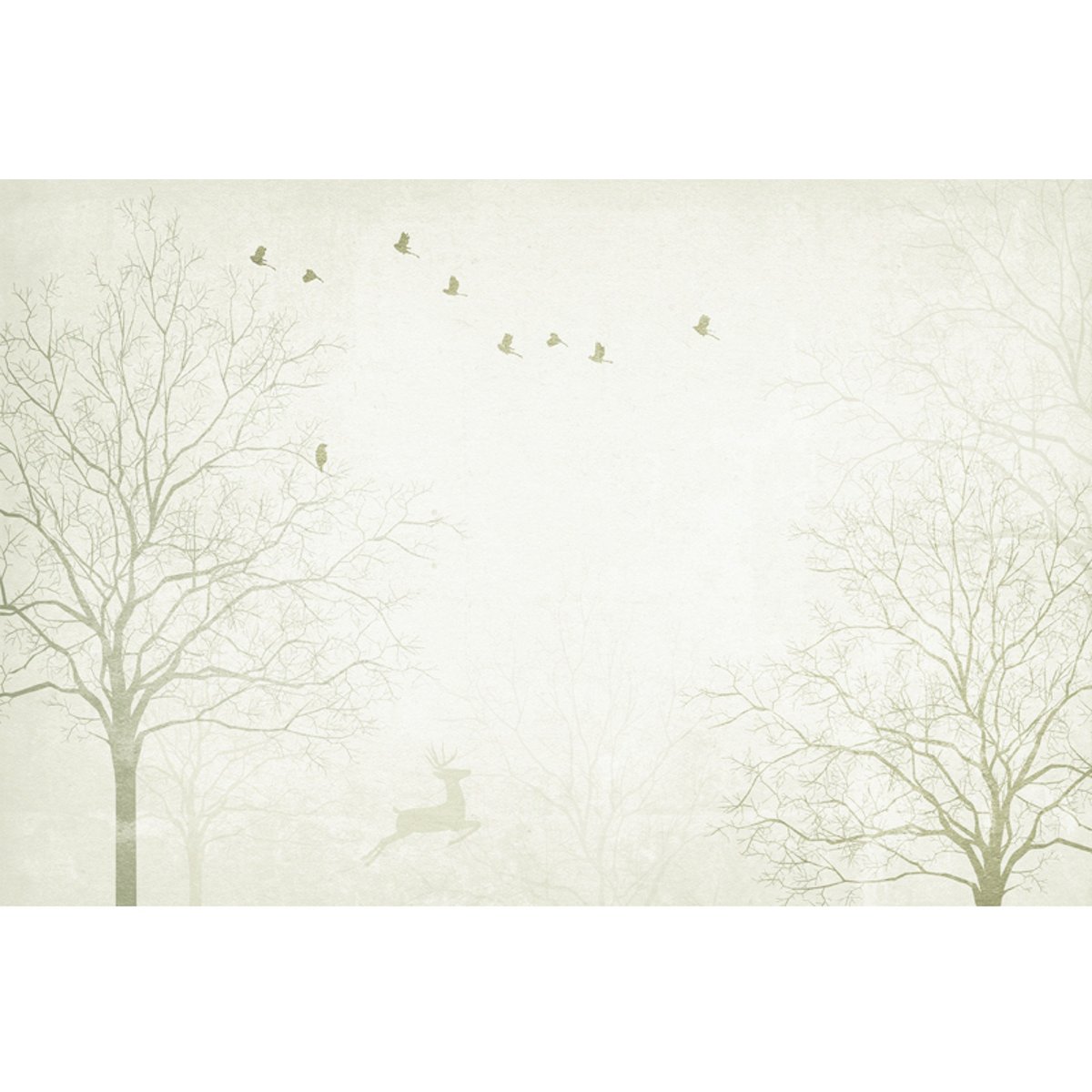 Honpo YL | Misty Trail Honpo YL | Misty Trail