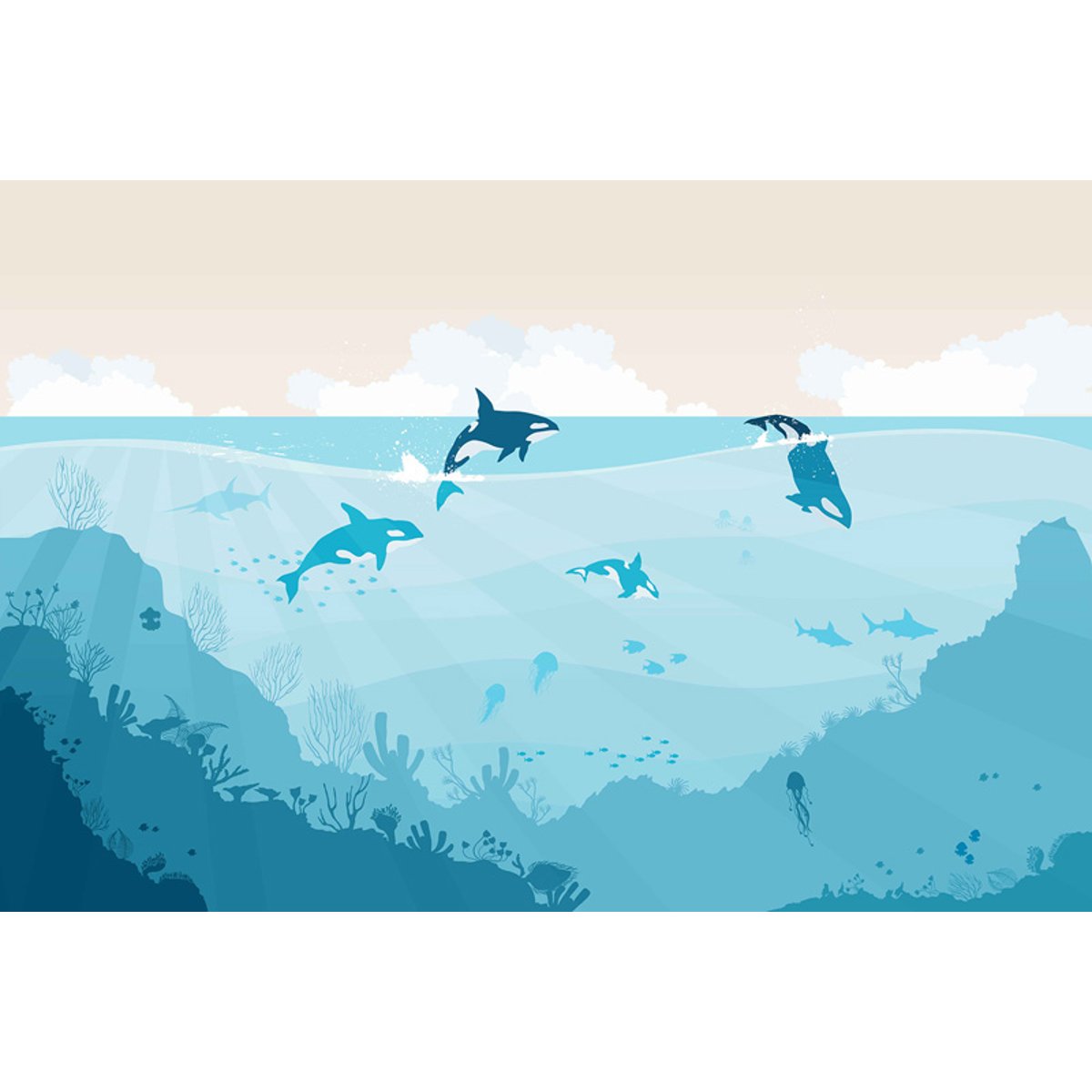 Honpo YL | Orca Bay Honpo YL | Orca Bay