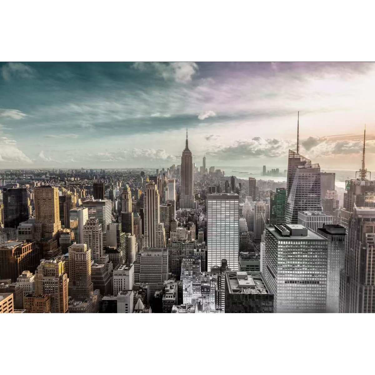 Honpo YL | Skyline Vista Honpo YL | Skyline Vista