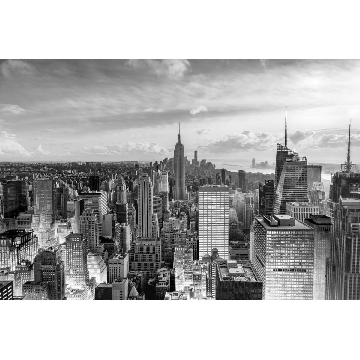 Honpo YL | Skyline Vista Honpo YL | Skyline Vista