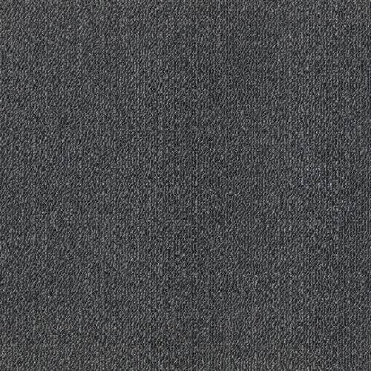 Toli / Pets Carpet / AK3502 Toli / Pets Carpet / AK3502