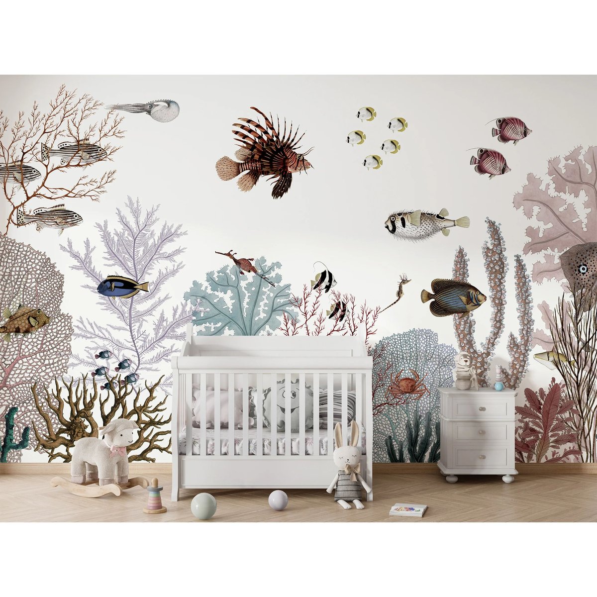 Kikki Belle | Roaring Reef Kikki Belle | Roaring Reef